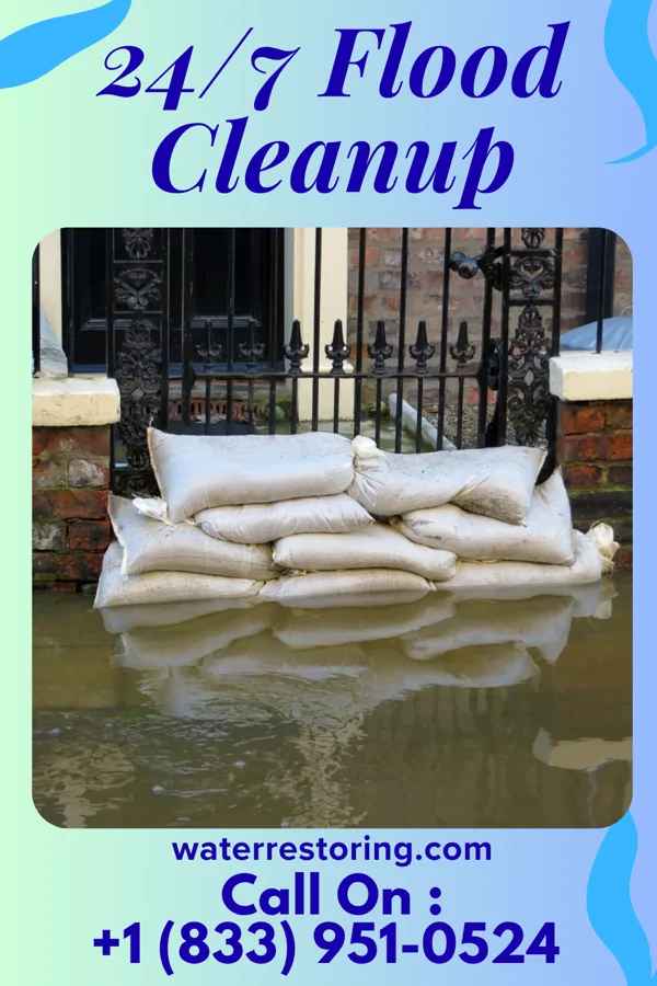 24/7 Flood Cleanup in Lake Hallie, WI