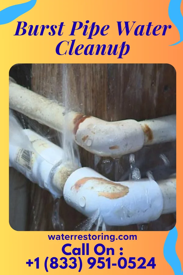 Burst Pipe Water Cleanup in Lake Hallie, WI