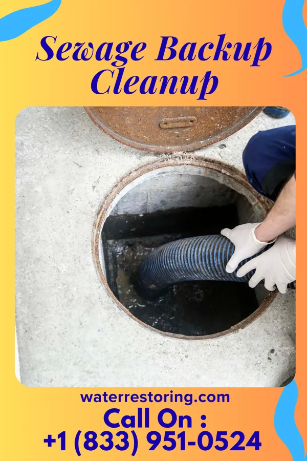 Sewage Backup Cleanup in Lake Hallie, WI