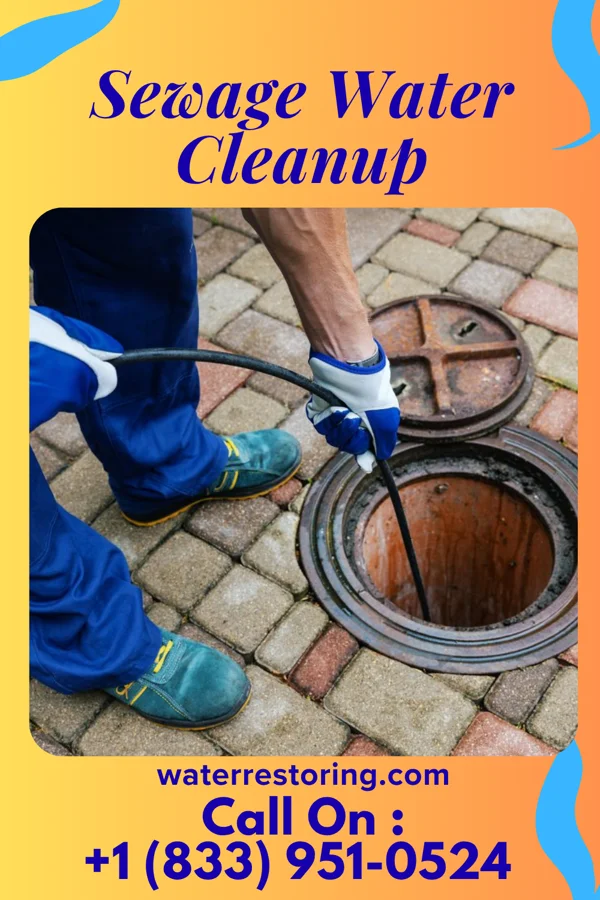 Sewage Water Cleanup in Lake Hallie, WI