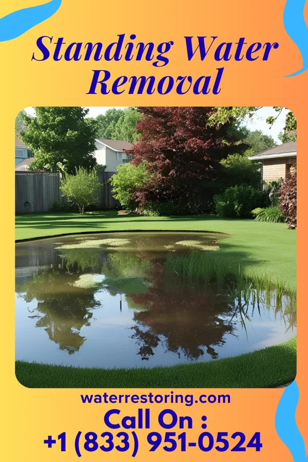 Standing Water Removal in Lake Hallie, WI